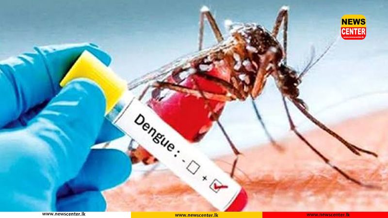 ඩෙංගු රෝගීන් ගණන 82,000 ඉක්මවයි