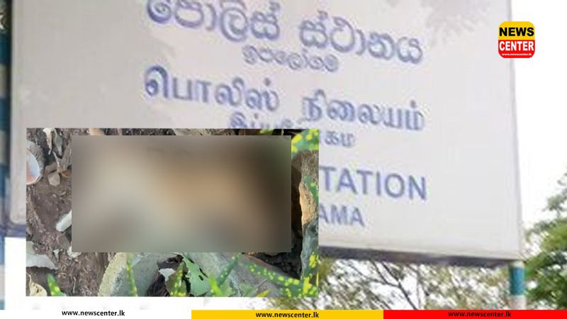 වස දී සුනඛයින් ඝාතනය කරලා - කලාවැව ප්‍රදේශයෙන් ඇහෙන අහස පොළොව නුහුලන අපරාධය 