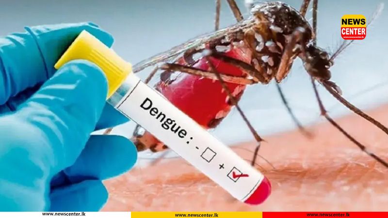 ඩෙංගු බෝවන පරිදි නොසැලකිලිමත්ව පරිශ්‍ර පවත්වාගෙන යන අයට එරෙහිව නීති දැඩි වෙයි 