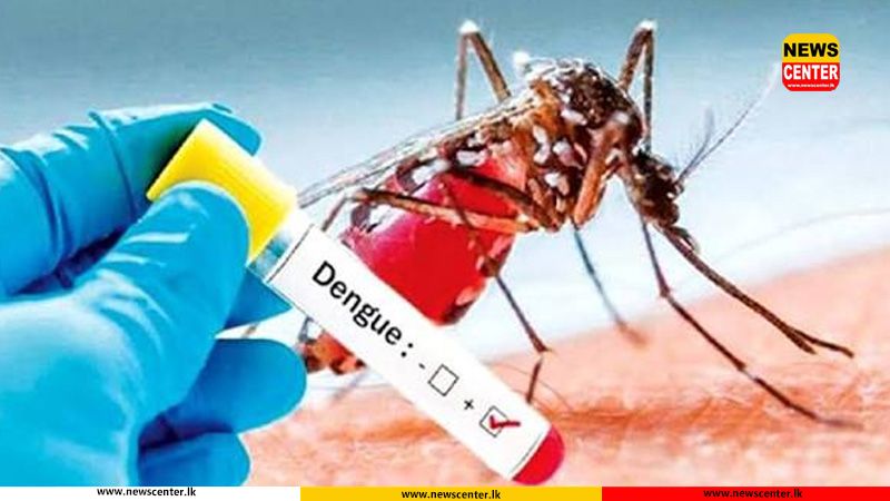 ඩෙංගු මරණ 61 දක්වා ඉහළට 
