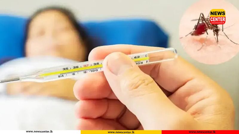 ඩෙංගු රෝගීන් 81,000 ඉක්මවයි