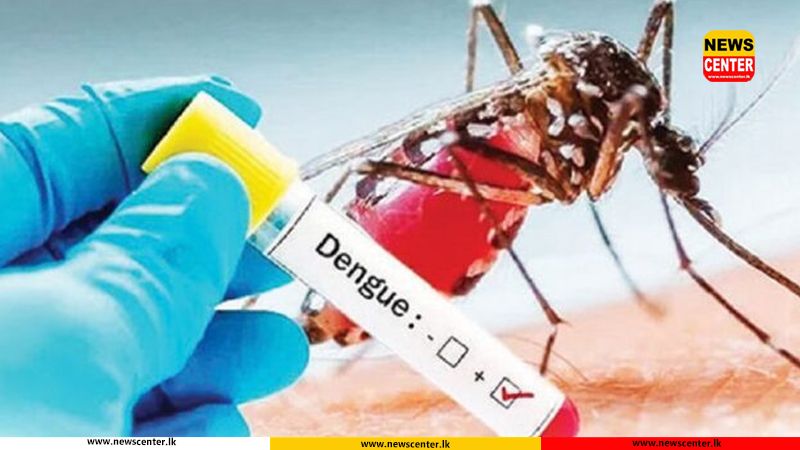 ඩෙංගු රෝගීන් සංඛ්‍යාව 50,000 ඉක්මවයි