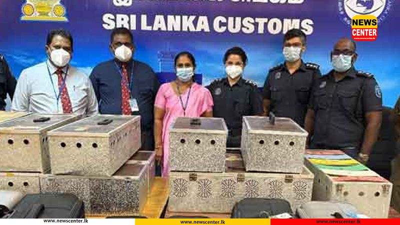 ඉතාලියෙන් රට පරවියෝ මෙරටට ගෙනා ව්‍යාපාරිකයෝ ගුවන්තොටේ දී මාට්ටු