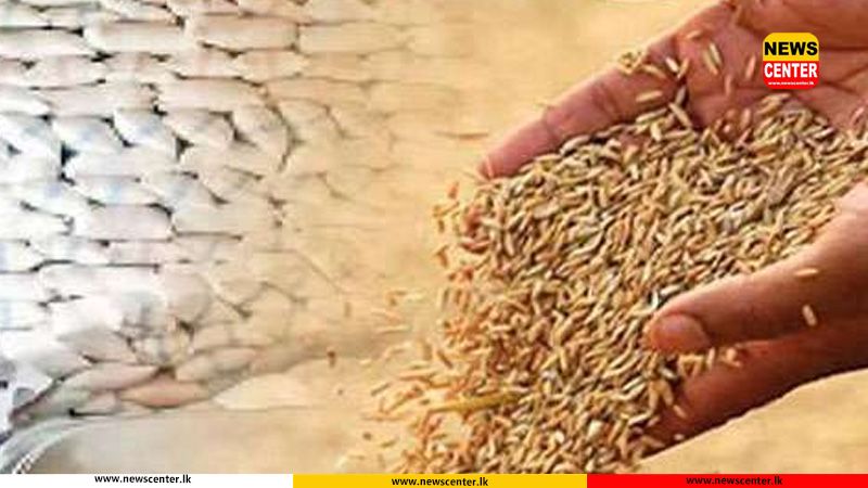 27,458 MT of paddy purchased so far, Govt. says