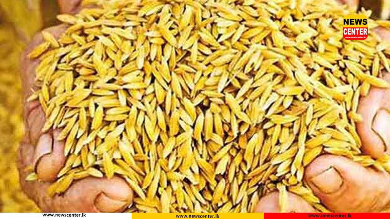 Govt. announces guaranteed prices for paddy for ‘Yala’ season