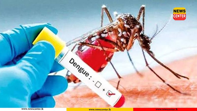 ඩෙංගු රෝගීන් ගණන 68,000 ඉක්මවයි