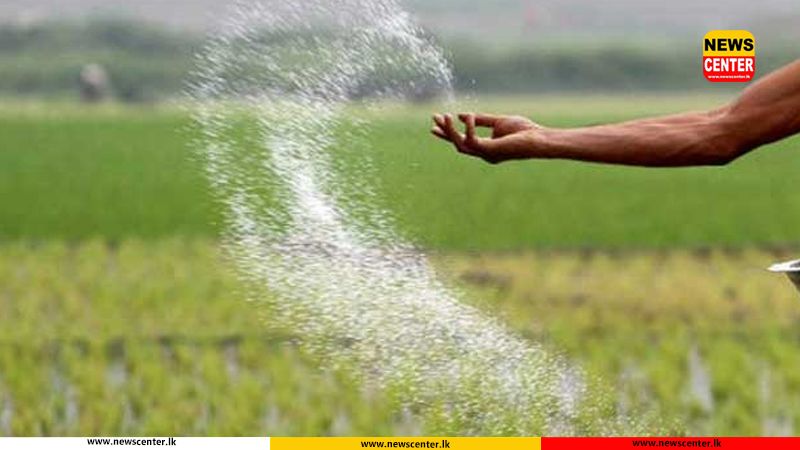 Agrarian Dept to limit urea fertilizer issuance to paddy sector amid supply constraints
