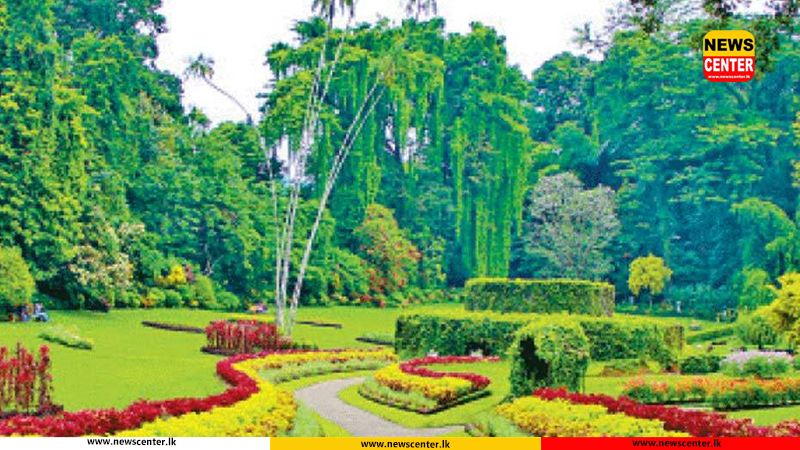 Revenue from Sri Lanka’s botanical gardens surpasses Rs. 1 bln in 2025