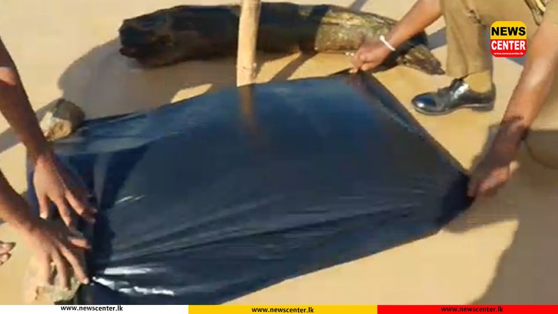 Severed human head washes ashore in Moragalla