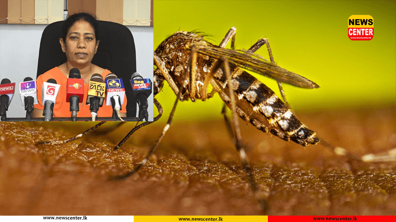  ඩෙංගු රෝගීන් 40,443 ක් දක්වා ඉහළට – ඩෙංගු මරණ 23 ක්