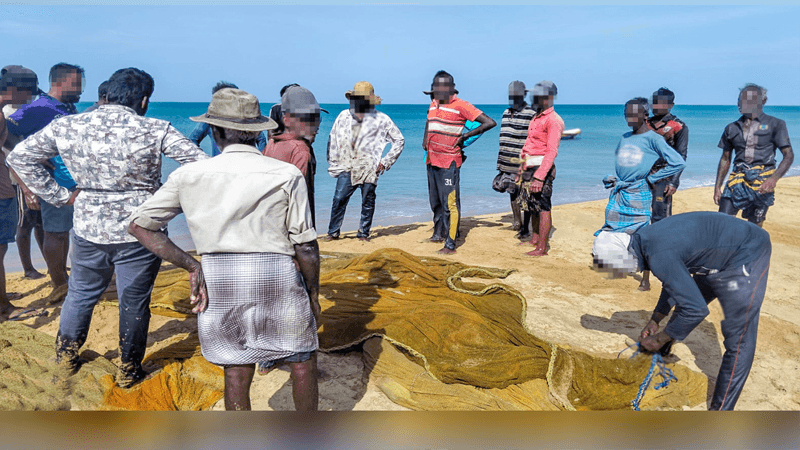 fish 5555555.png