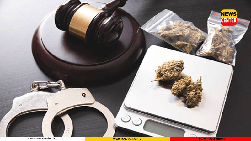  හෑෂ් මත්ද්‍රව්‍ය තොගයක් සමඟ ජාවාරම්කරුවෙකු ගල්කිස්සදී අත්අඩංගුවට