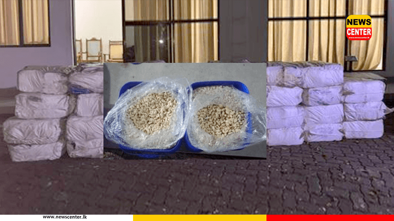  නීතිවිරෝධී ලෙස මෙරටට රැගෙන ආ වියළි කජු තොගයක් අත්අඩංගුවට