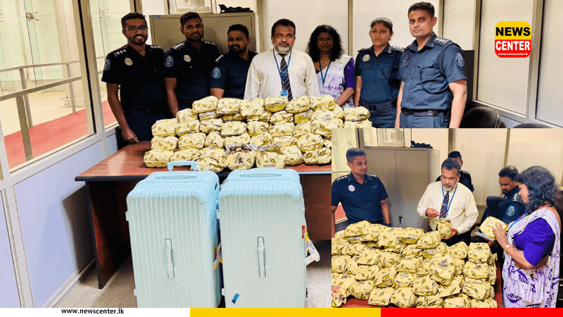  කොතලහිඹුටු සමග චීන ජාතිකයා ගුවන්තොටුපලේදි රේගු දැලේ