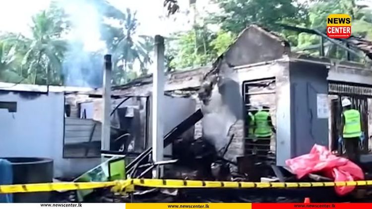 'සෙනෙහසේ කැදැල්ල ලියාපදිංචි නොකළ එකක්' - ජාතික වැඩිහිටි මහ ලේකම් කාර්යාලය සඳහන් කරයි 