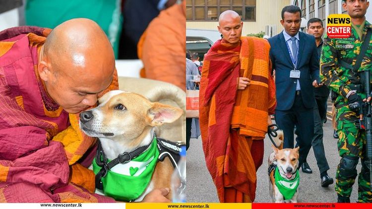 සාම පාද යාත්‍රාවේ ගමන් මග 