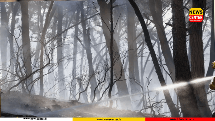 ස්පාඤ්ඤයේ දරුණු ලැව්ගින්නක් - 12 ක් මරුට   