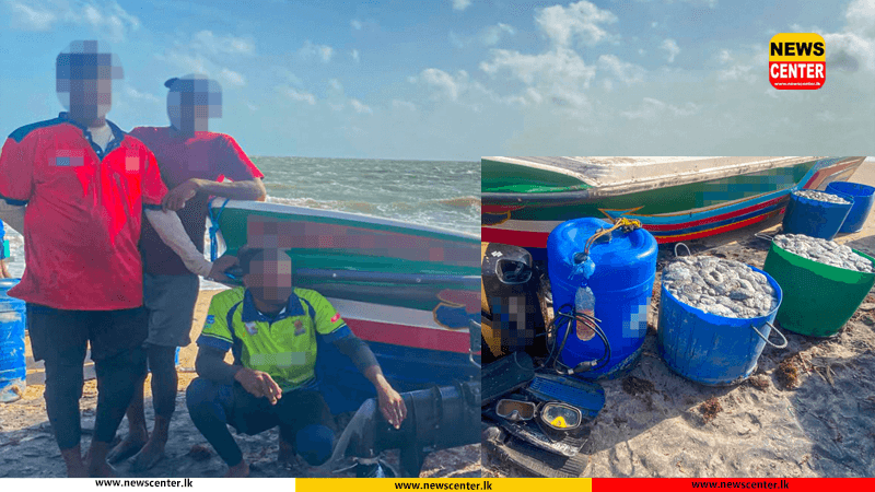 මුහුදු කූඩැල්ලන් තොගයක්  සමඟ සැකකරුවන් පිරිසක් නීතියේ රැහැනට
