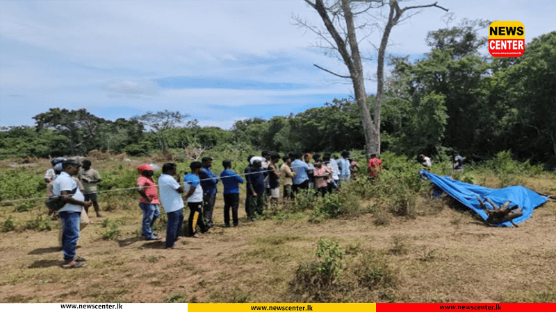  මුලතිව් ඔට්ටිසුඩාන් ප්‍රදේශයේ වන අලි තර්ජන - කුඹුරට යමින් සිටි ගොවියෙකුට ජීවිතය අහිමිවේ