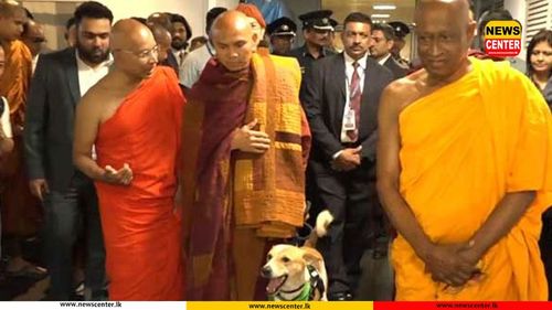 Walk for Peace: Ven. Pannakara Thero and 07 monks arrive in Sri Lanka