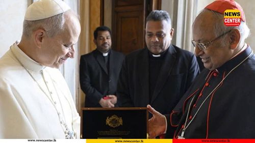 A meeting between the Cardinal and the Pope